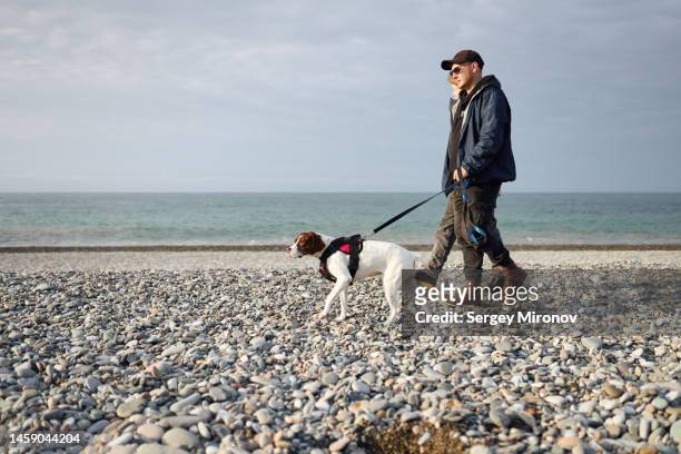 pet care. couple with dog walking on beach - georgian man stock pictures, royalty-free photos & images