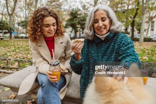 happy senior woman stroking dog and sitting with granddaughter on seat - straw dogs stock pictures, royalty-free photos & images