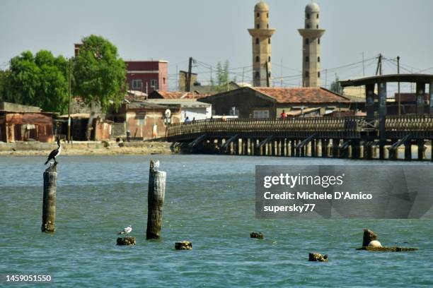 poles and bridges i the lagoon water - senegal monument stock pictures, royalty-free photos & images