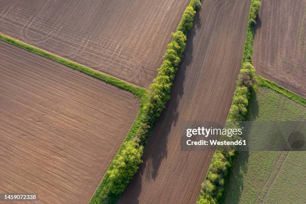 Windbreaks Windbreak And Trees Photos and Premium High Res Pictures - Getty Images