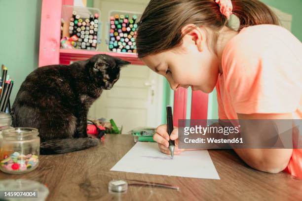 cat watching girl drawing picture on paper at home - animal drawn stock pictures, royalty-free photos & images