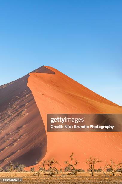 dune 45, sossuvlei, namibia. - dead vlei namibia fotografías e imágenes de stock