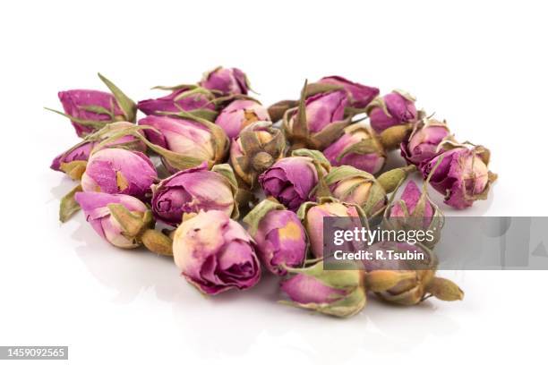 rose flower for dry tea or decoration isolated on a white background - rosa violette parfumee photos et images de collection