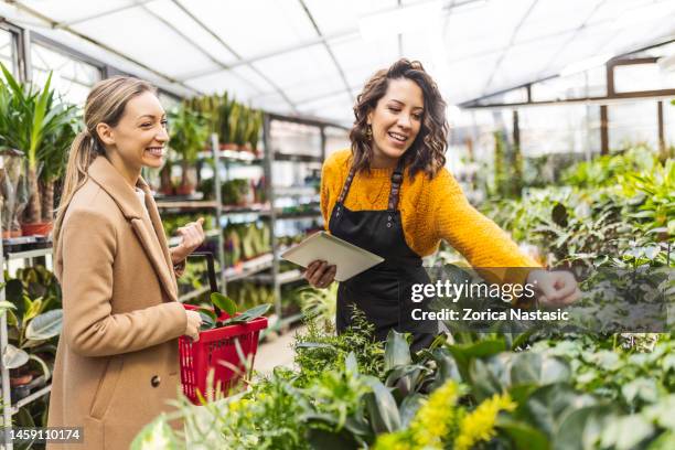 woman at a garden center talking with an employee about what plant to buy - tuincentrum stockfoto's en -beelden