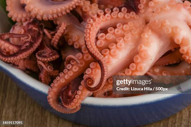 close-up of raw seafood in bowl on table,romania - octopus food stock pictures, royalty-free photos & images