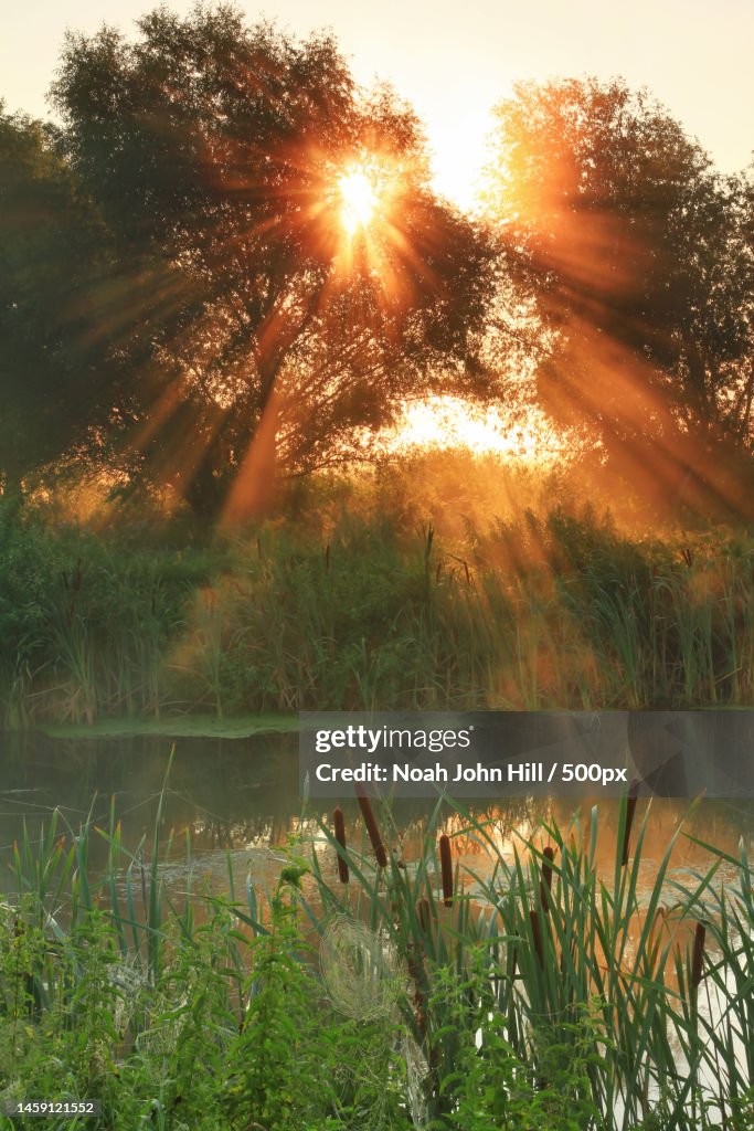 Sun Rige Imags Sun Rays On Sunrise On The River United States Usa High-Res Stock Photo ...