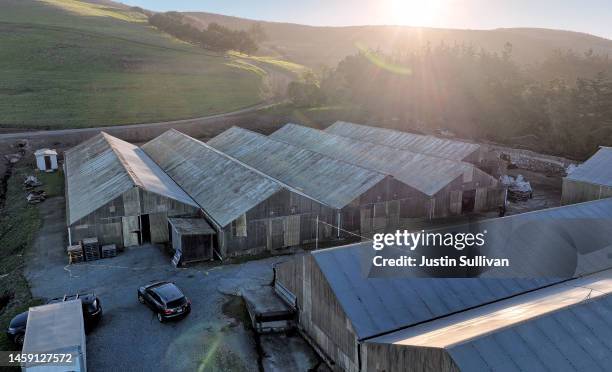 In an aerial view, greenhouses are seen at a farm where a mass shooting occurred on January 24, 2023 in Half Moon Bay, California. Seven people were...
