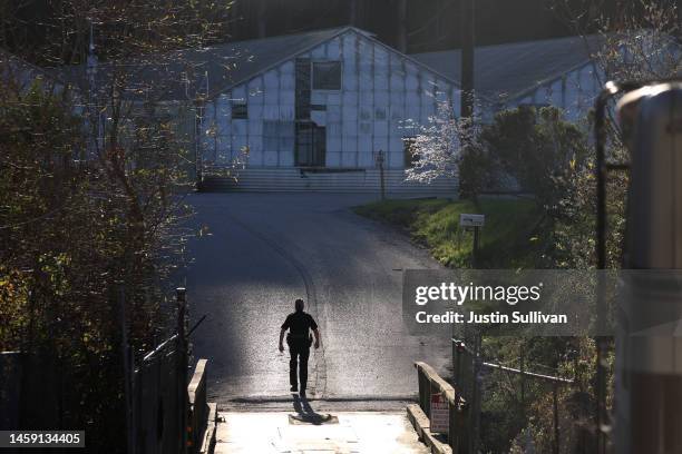 San Mateo County sheriff deputy walks through a farm where a mass shooting occurred on January 24, 2023 in Half Moon Bay, California. Seven people...