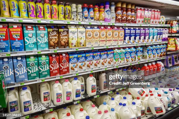 Miami Beach, Florida, Normandy Isle, Sabor Tropical Supermarket, refrigerated milk aisle, Silk, Nesquik, almond milk, organic milk, oat milk.