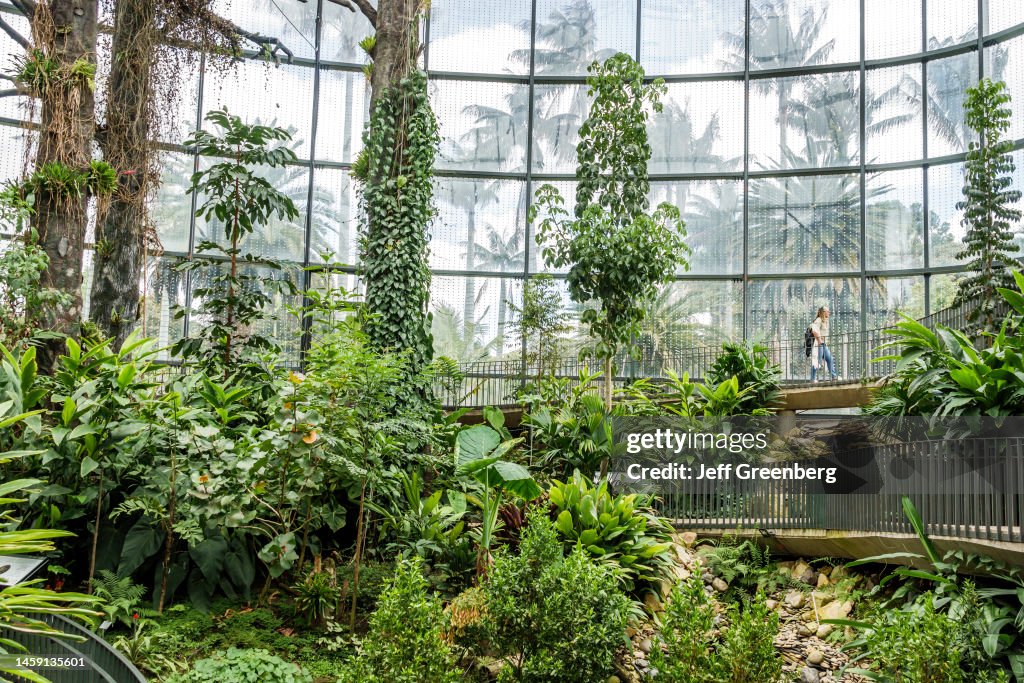 Bogota, Colombia, Jardin Botanico de Bogota, Jose Celestino Mutis Botanical Garden, Expedicion Tropicario, tropical expedition ecosystem greenhouse interior, Choco Darien Amazonian rainforest