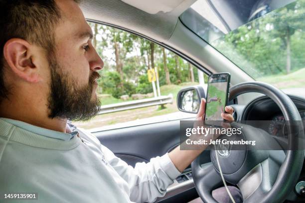 Bogota, Colombia, Santa Fe, Uber driver using mobile app and GPS to check destination and directions.