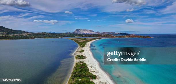 aerial view of 'la cinta' beach with tavolara island in the background - tavolara foto e immagini stock