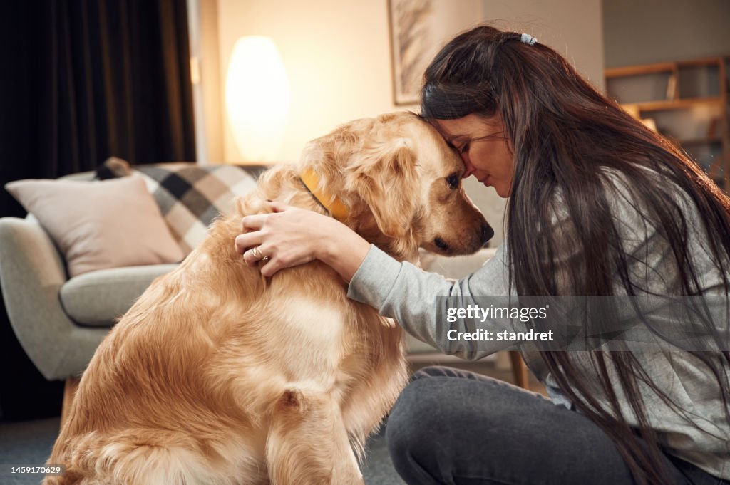 Close up view, portrait. Woman is with golden retriever dog at home