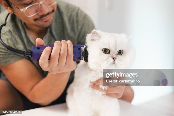 How Mobile Pet Grooming Supports Local Communities