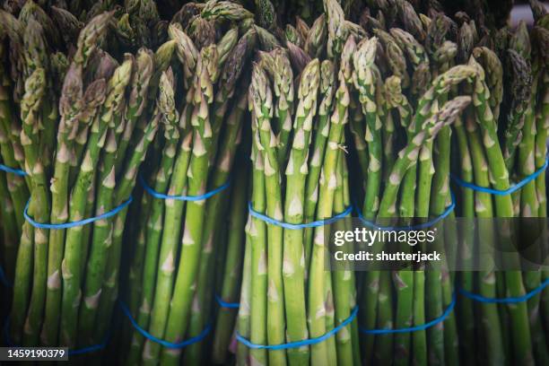 full frame close-up of bunches of asparagus - asparagus stock pictures, royalty-free photos & images