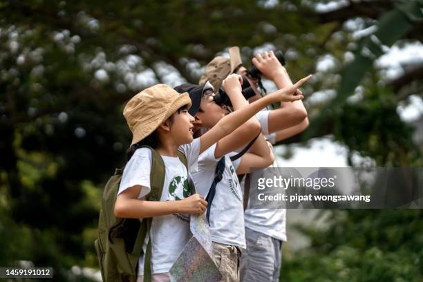children on a nature field trip are using binoculars to look at the animals that live in the treetops. - asian child with binoculars stockfoto's en -beelden