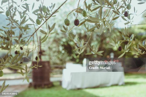 table with a bar set up for a summer wedding party, spain - wedding food stock pictures, royalty-free photos & images