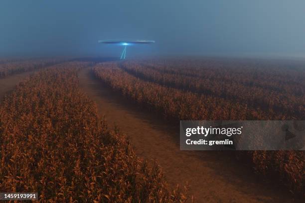 ufo hovering over crop circles - graancirkel stockfoto's en -beelden