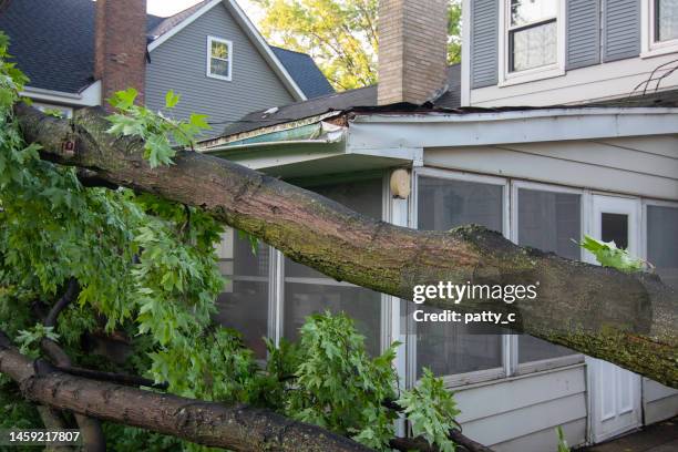 fallen tree destroys gutter - tree broken window stock pictures, royalty-free photos & images