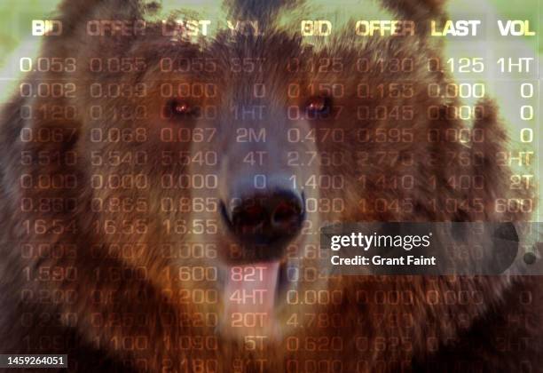 grizzly bear. stock market - humor stock illustrations bildbanksfoton och bilder