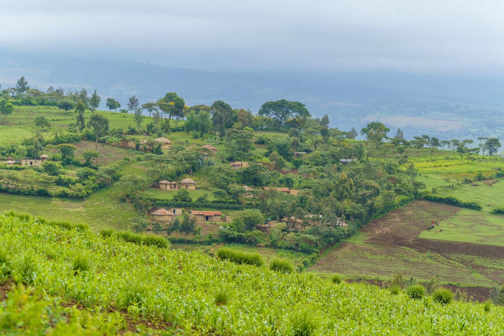 arusha easter