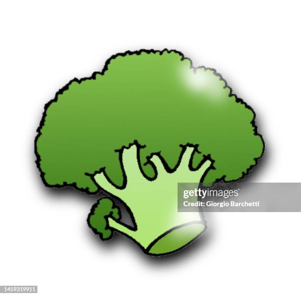 broccoli - broccoli isolated stock illustrations