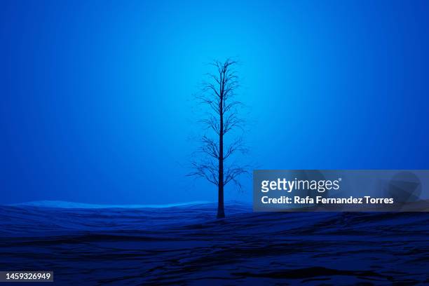 bare lonely tree on a blue arid landscape - bare tree isolated stock pictures, royalty-free photos & images
