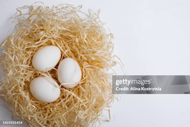 white chicken eggs lie in nest made of wood shavings on white background - shavings stock pictures, royalty-free photos & images