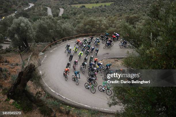 General view of the peloton compete climbing to the Coll den Soller during the 32nd Challenge Ciclista Mallorca 2023 - Trofeo Calvia a 150,1km one...