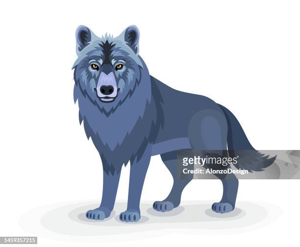 stockillustraties, clipart, cartoons en iconen met wolf character. mascot creative design. - wolf
