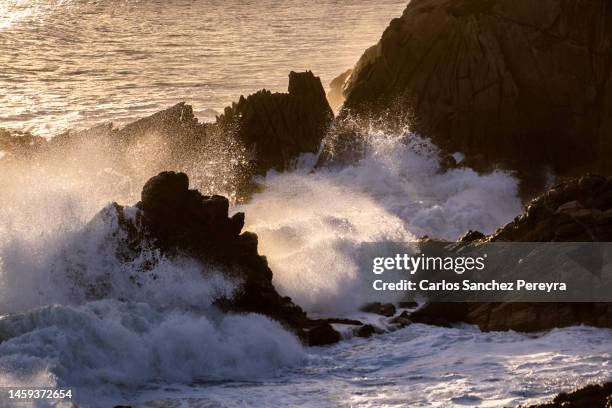 storm day - backdrop projection of beach stock pictures, royalty-free photos & images