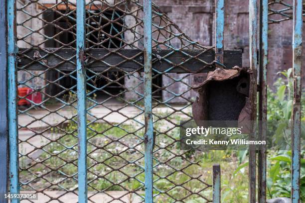 abandoned - mesh fence stock pictures, royalty-free photos & images