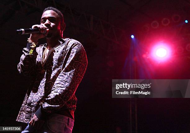 Bonnaroo 2012 - Day 1 - This Tent, News Photo