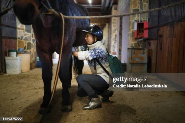 teenage girl person with disabilities harnesses horse and cares for animal. rider saddles horse. secures the saddle, tightens the girths. - animal head human body stock pictures, royalty-free photos & images