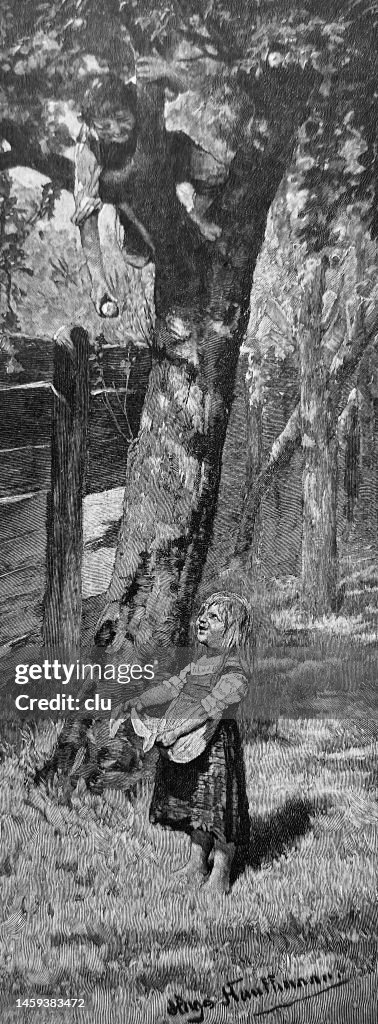 Apple harvest, boy and girl at a tree