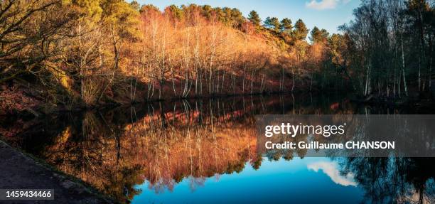 fall at lake called "le miroir aux fées" in brocéliande, brittany, france. - ille et vilaine - fotografias e filmes do acervo