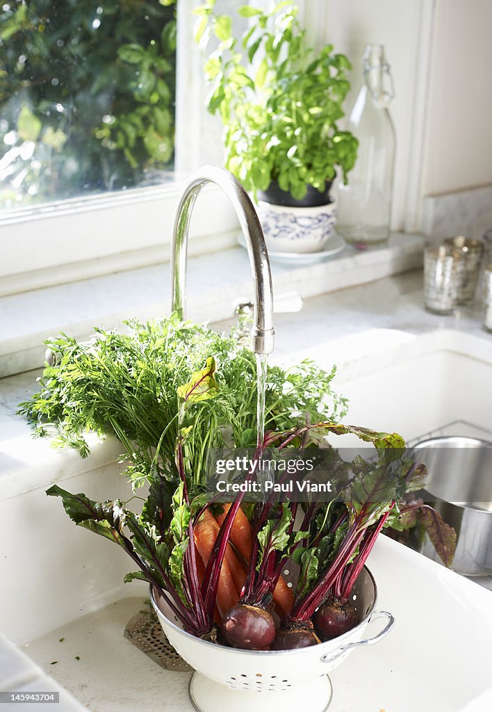 Fresh vegetables in sink