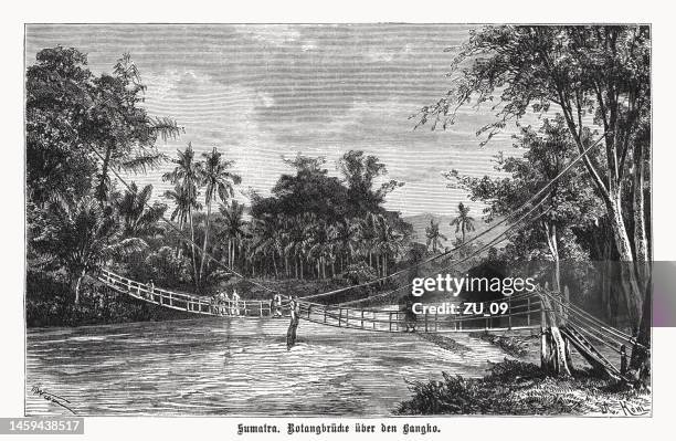 rattanbrücke in sumatra, holzstich, veröffentlicht 1899 - insel sumatra stock-grafiken, -clipart, -cartoons und -symbole