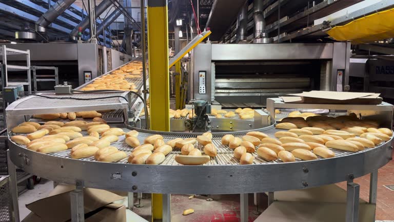 https://media.gettyimages.com/id/1459448349/video/bread-factory.jpg?b=1&s=640x640&k=20&c=LrTXYX72T0_hQfelSl7WUEaT-c9W9hrwMeE-px1CUx8=