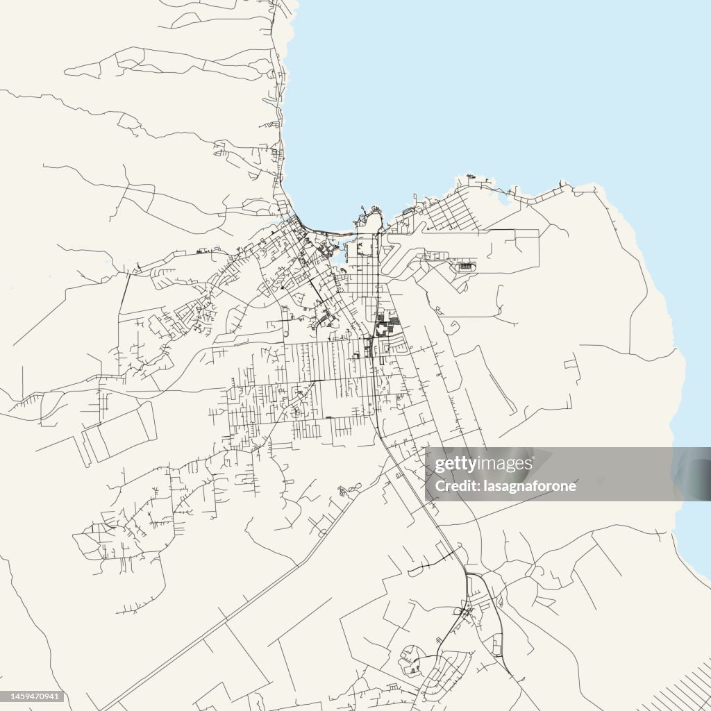 Hilo, Hawaii, USA Vector Map