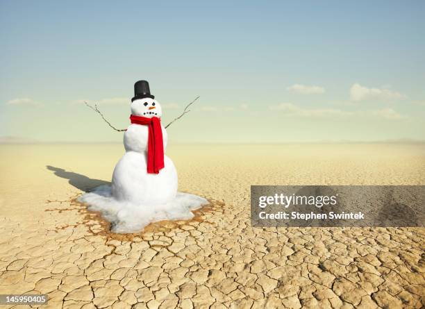 snowman in the desert - snowman photos et images de collection