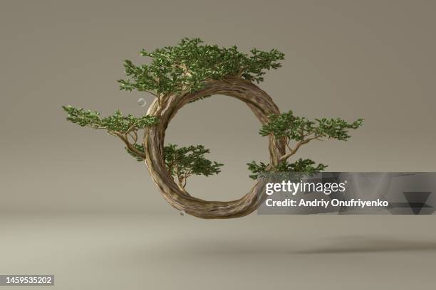 ecosystem - bonsai fotografías e imágenes de stock