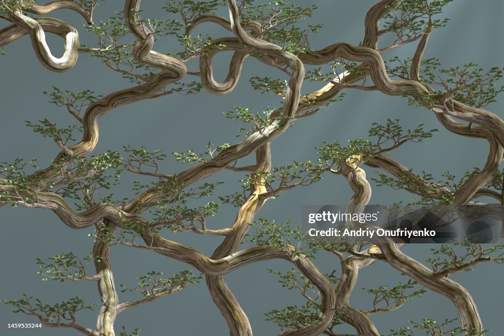 Twisted trees