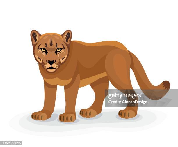 stockillustraties, clipart, cartoons en iconen met cougar character. mascot creative design. - poema