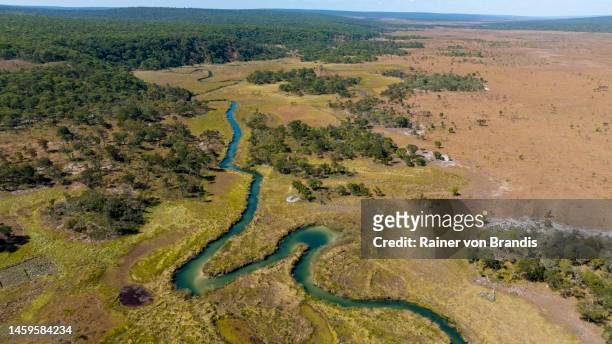 upper zambezi river - zambezi river stock pictures, royalty-free photos & images