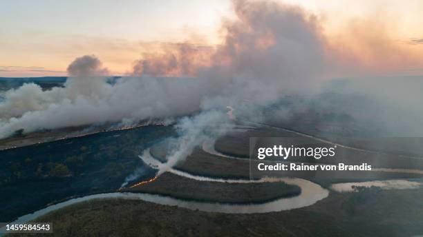 upper zambezi river - zambezi river stockfoto's en -beelden