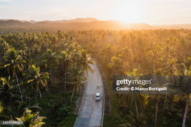 car driving on road among palm trees - philippines aerial stock pictures, royalty-free photos & images