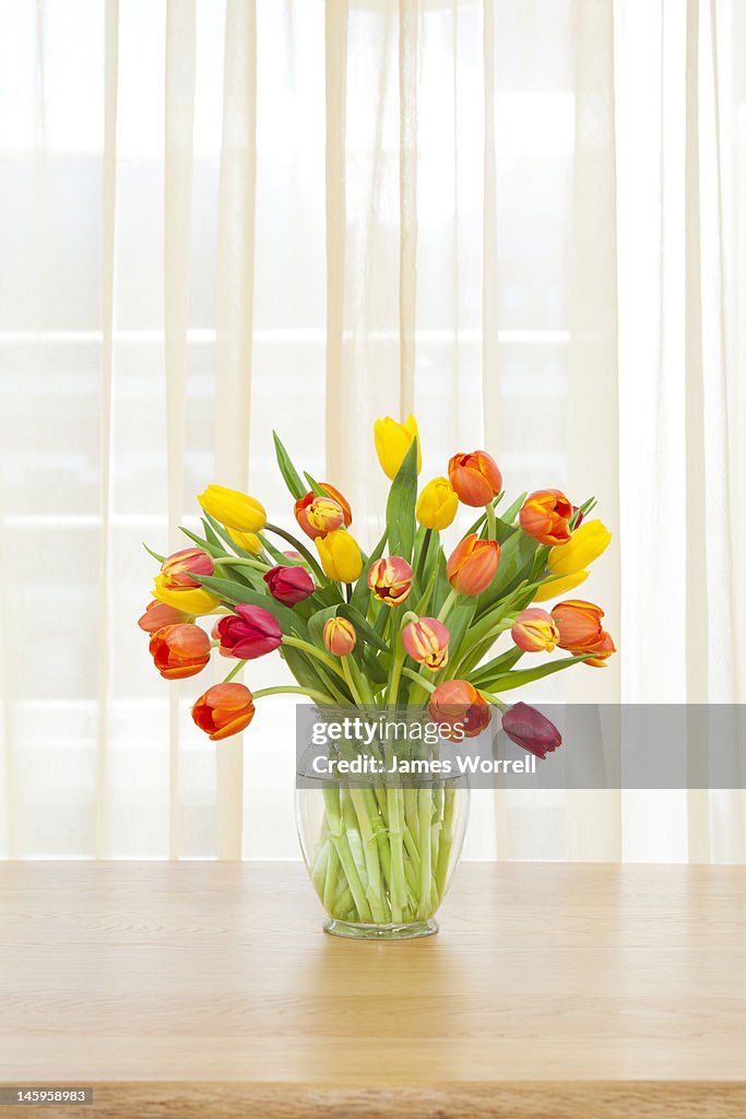 Tulips in Vase on Table