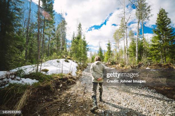 woman walking on graveled road - senior women hiking stock pictures, royalty-free photos & images