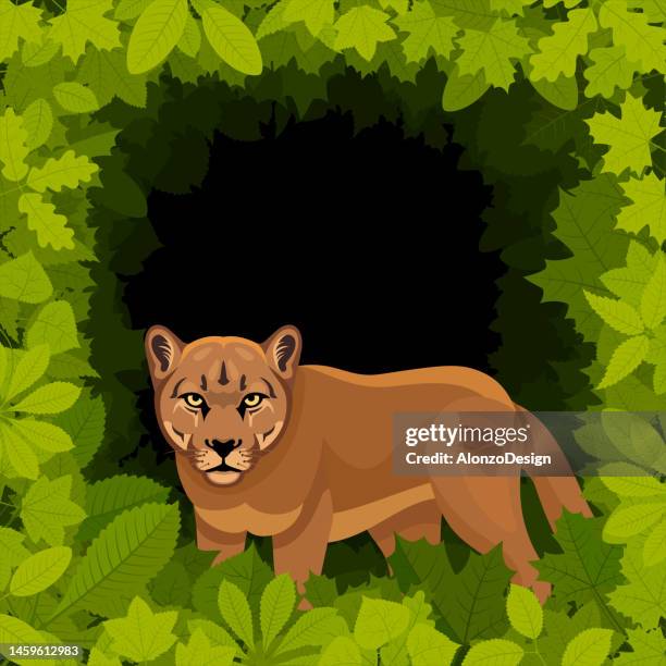 22 Ilustraciones de Puma Logos - Getty Images 22 Ilustraciones de Puma Logos - Getty Images